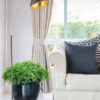 Black pillows on classical style sofa with black lamp