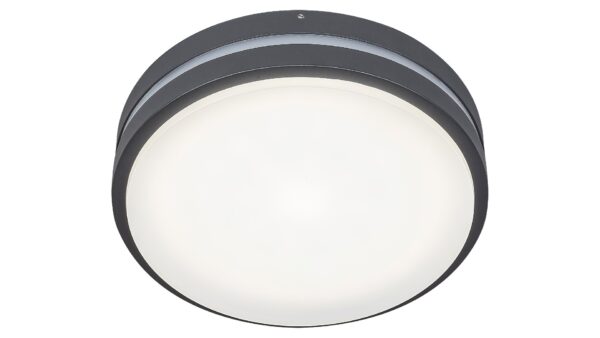 SPOLJNA ZIDNA LAMPA HAMBURG 8847 RABALUX - Image 4