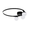 Led plafonjere