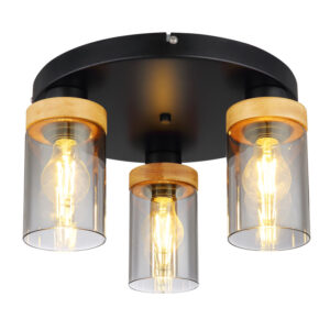 FINCA PLAFONJERA 15557-3D GLOBO LIGHTING