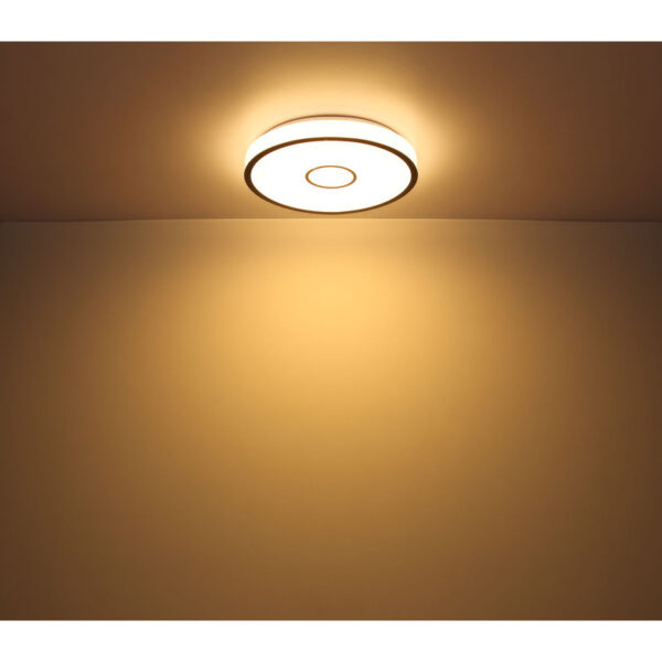 GEORGIA LED PLAFONJERA 48027-30SH GLOBO LIGHTING - Image 12