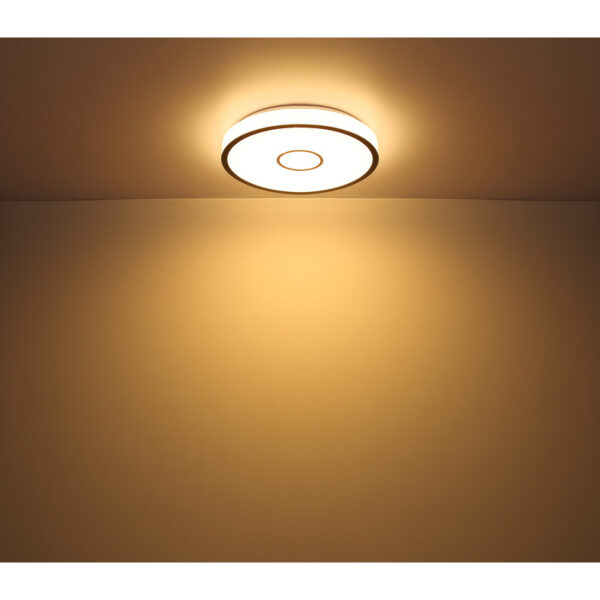GEORGIA LED PLAFONJERA 48027-40SH GLOBO LIGHTING - Image 12