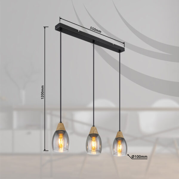 REID VISILICA 15706-3H GLOBO LIGHTING - Image 6