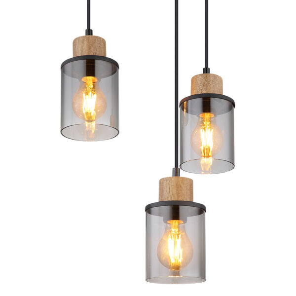 REID VISILICA 15707-6H GLOBO LIGHTING - Image 5