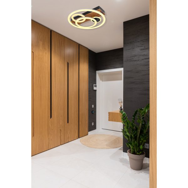 DARRYL 67265-55 PLAFONSKA LAMPA GLOBO LIGHTING - Image 2