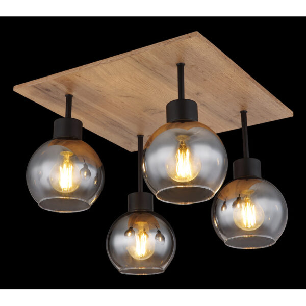 MOITAS 15656-4D PLAFONSKA LAMPA GLOBO LIGHTING - Image 3