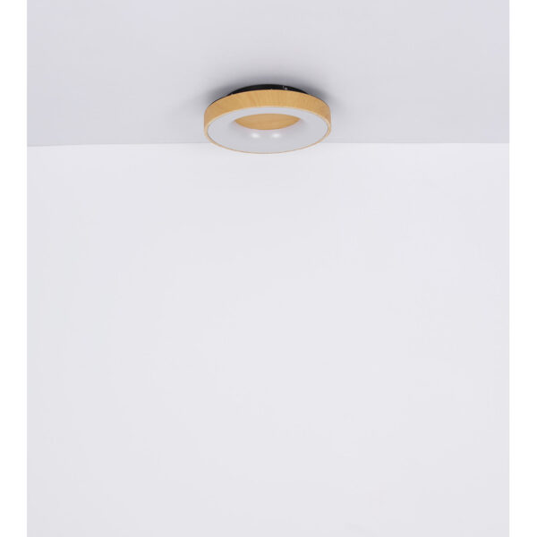 JOLLI 41758-30 LED PLAFONSKA LAMPA GLOBO LIGHTING - Image 11
