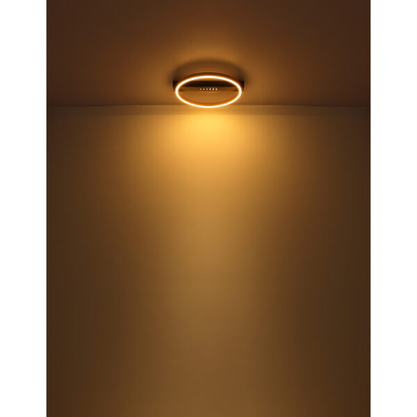 LUFFY 48461-21R LED PLAFONSKA LAMPA GLOBO LIGHTING - Image 8