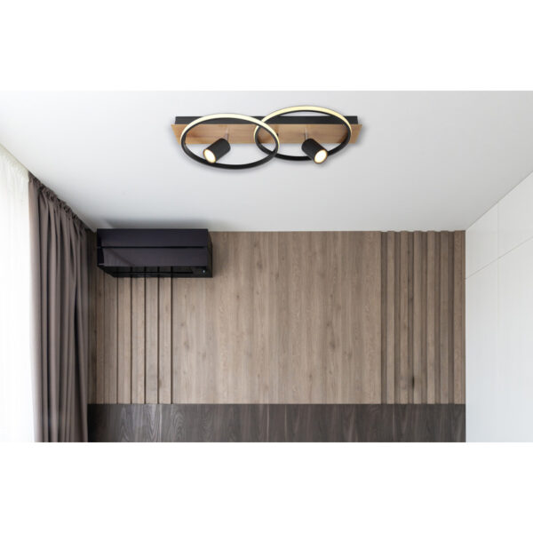 DANNY 67309-36 PLAFONSKA LAMPA GLOBO LIGHTING - Image 2