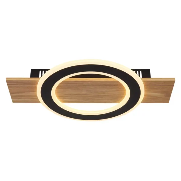 JAYDEN 48038-18 LED PLAFONSKA LAMPA GLOBO LIGHTING - Image 4