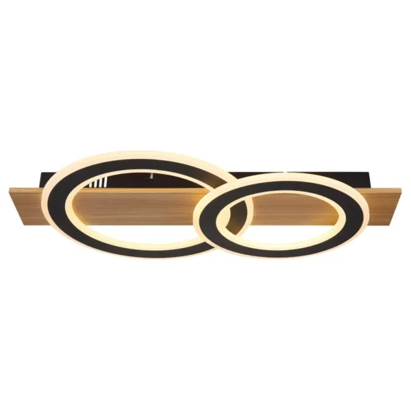 JAYDEN 48038-40 LED PLAFONSKA LAMPA GLOBO LIGHTING - Image 4