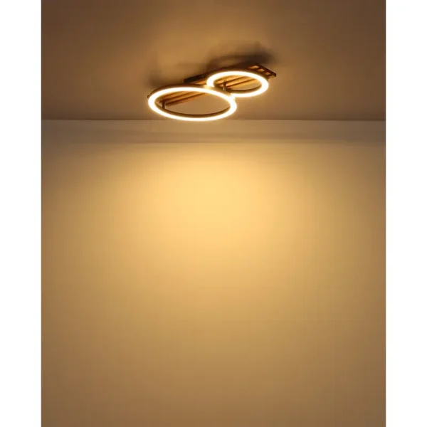 TISHA LED PLAFONSKA LAMPA 67353D2 GLOBO LIGHTING - Image 5