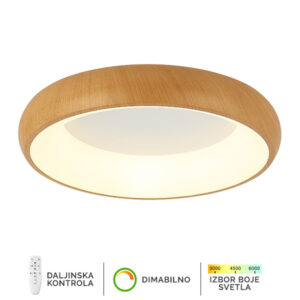 LED PLAFONSKA LAMPA F2081-58C WD FORMA