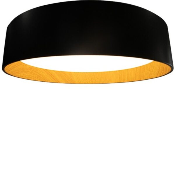 M205536 a o 28w led smd 3cct 400mm okrugla visilica sa daljinskim mitea lighting 2