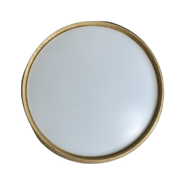 Led plafonjera 48w cct 1 (12)