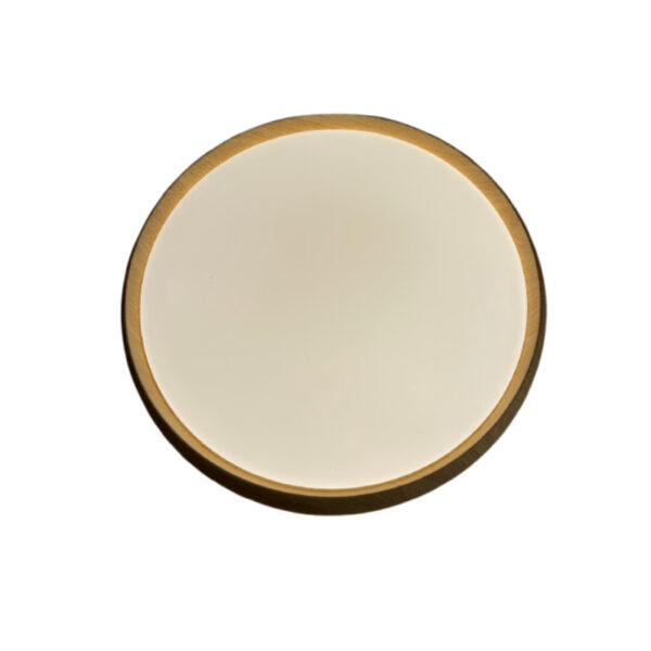 Led plafonjera 48w cct 1 (8)
